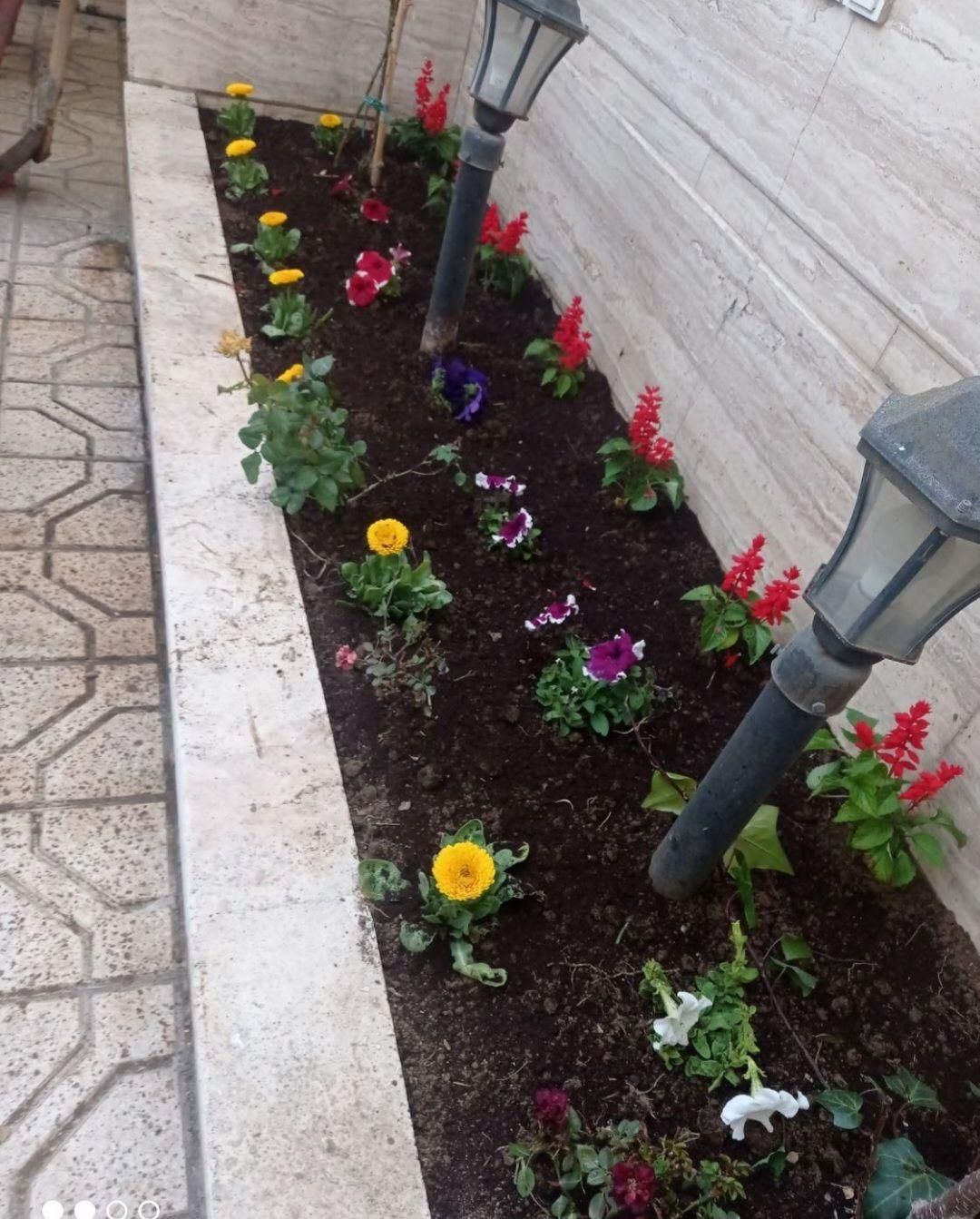 سمپاشی باغبانی هرسکاری تعویض خاک باغچه و هرسکاری|خدمات باغبانی و درختکاری|تهران, سعادت‌آباد|دیوار