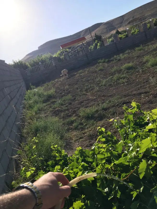 قطعه ویلایی ۱۰۰۰متر/دو کله/سند/ورودی شهربازی چیچست|فروش زمین و ملک کلنگی|ارومیه, |دیوار
