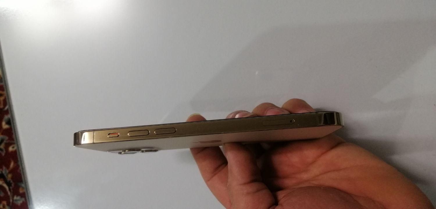 آیفون 12 پرو گلد|موبایل|سبزوار, ولیعصر (نجار آباد)|دیوار