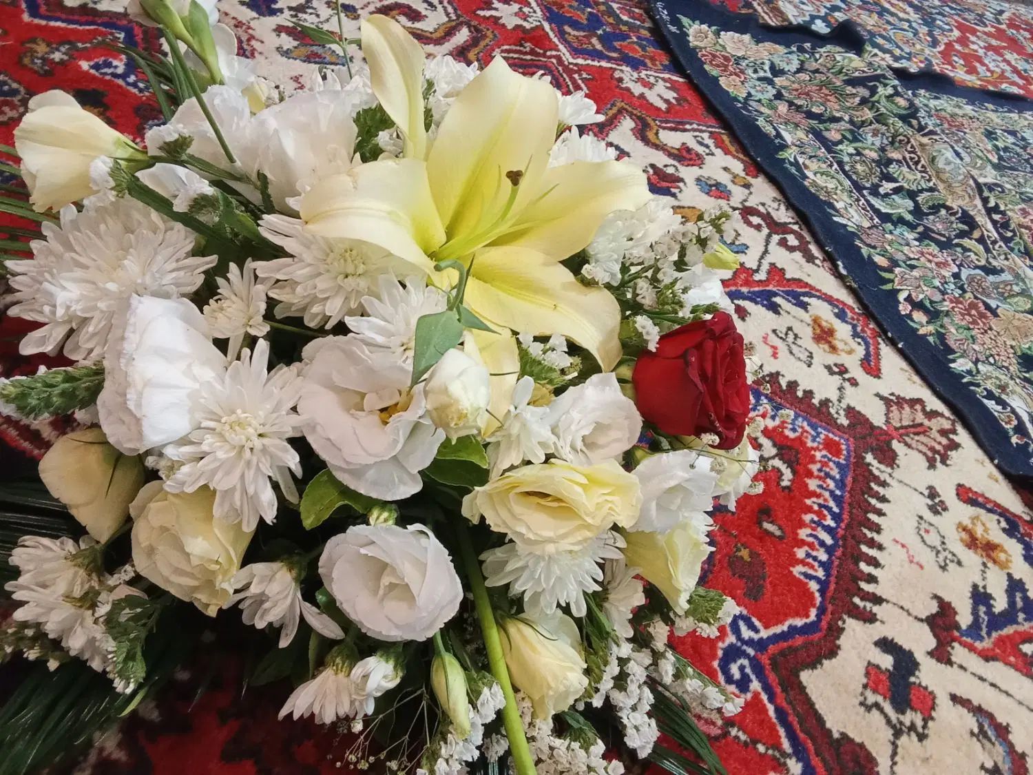 گل طبیعی مجلسی سالم|گل و گیاه طبیعی|تبریز, |دیوار