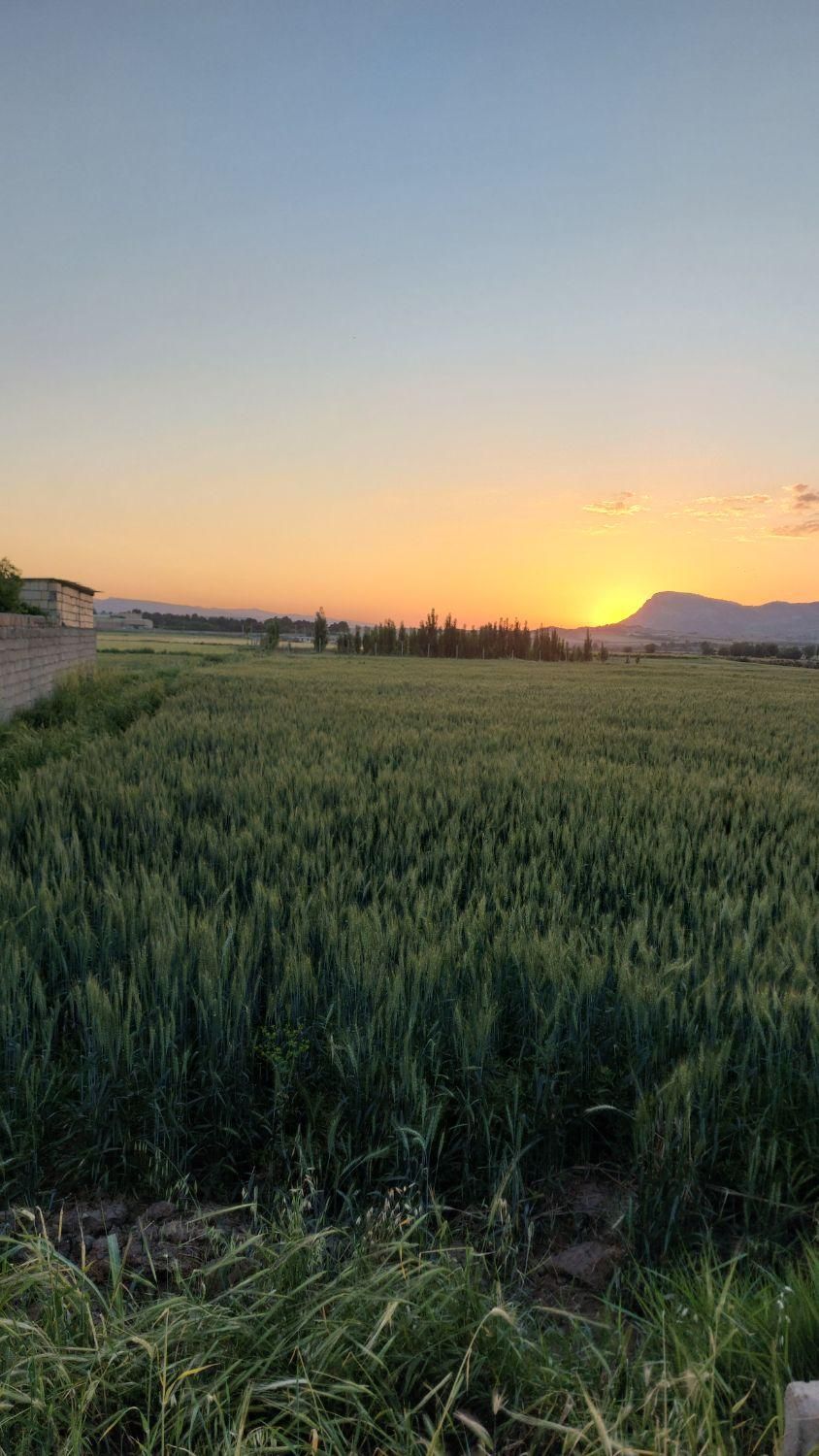 اجاره روزانه/هفتگی/ماهانه ویلا باغ ۳۰۰۰ متری|اجارهٔ کوتاهمدت ویلا و باغ|خرمآباد, |دیوار