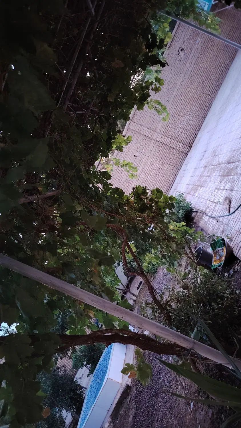 سوئیت ویلا مبله/2 اتاق اجاره روزانه/مختص مسافران|اجارهٔ کوتاه‌مدت آپارتمان و سوئیت|ملایر, |دیوار