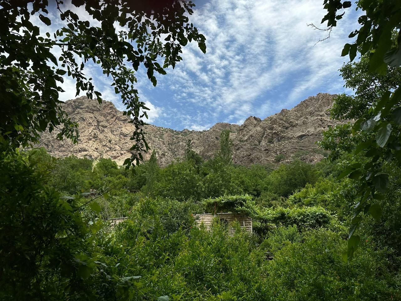 ویلا ارغوان  در باغات روستای داریان پاوه|اجارهٔ کوتاه‌مدت ویلا و باغ|کرمانشاه, |دیوار