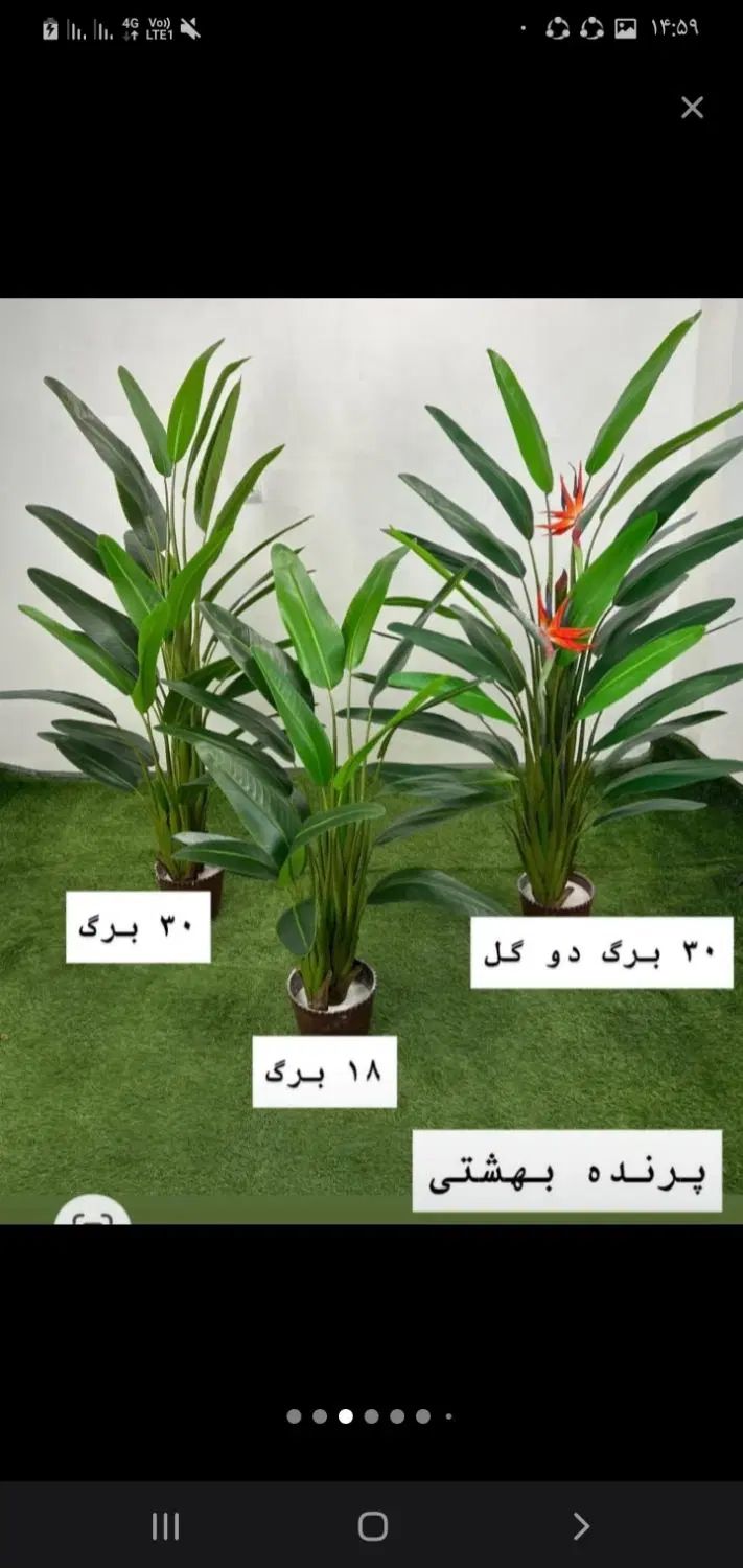 مور درخچه|گل مصنوعی|تهران, مشیریه|دیوار