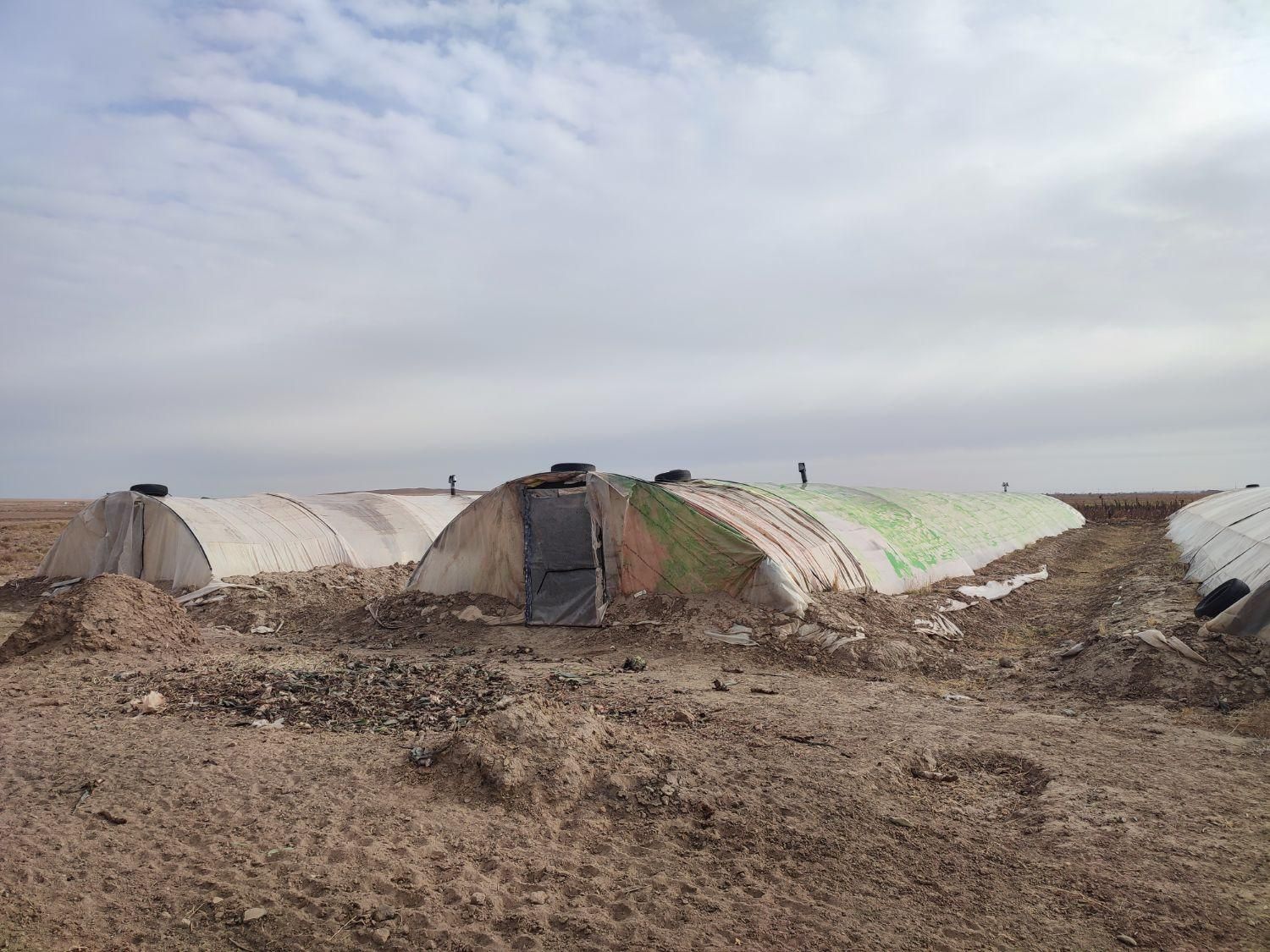 سازه گلخانه|مصالح و تجهیزات ساختمان|تربتحیدریه, شهرک ولیعصر|دیوار