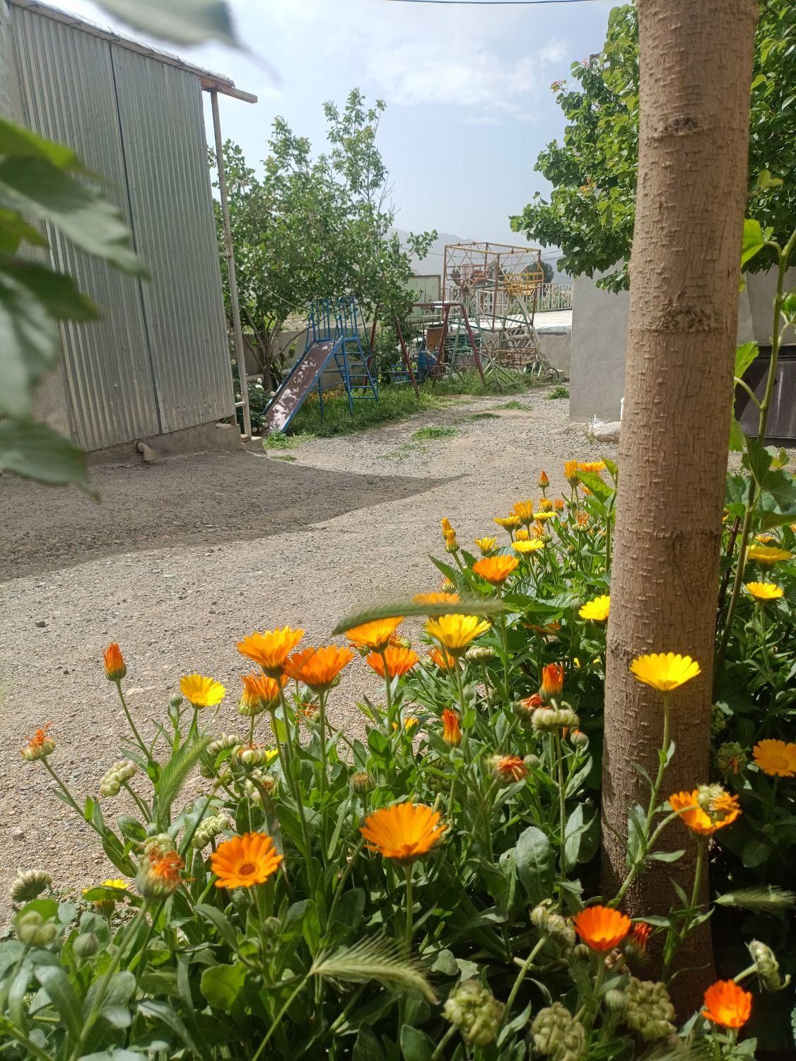 سوئیت،اقامتگاه،منزل ویلایی|اجارهٔ کوتاه‌مدت آپارتمان و سوئیت|بیستون, |دیوار