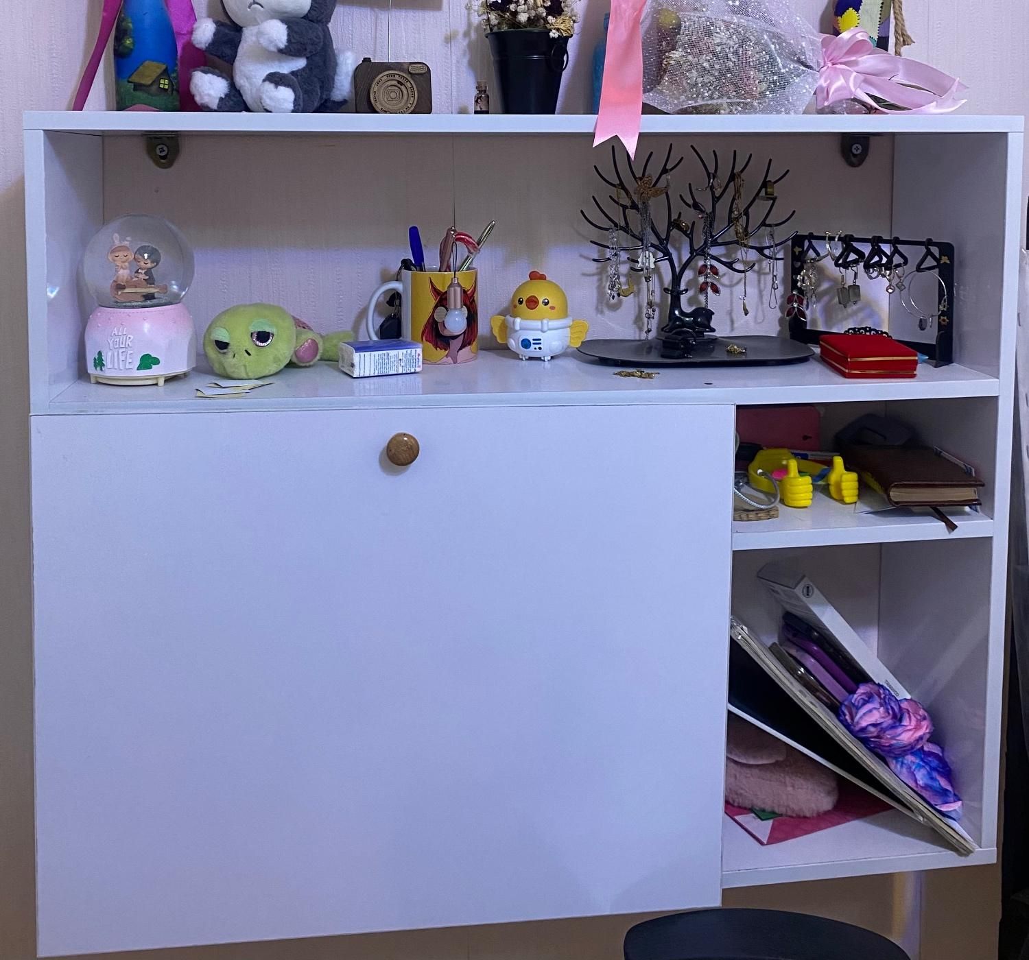 کتابخونه در دار سالم|کتابخانه، شلف، قفسه‌های دیواری|محمدیه-قزوین, |دیوار