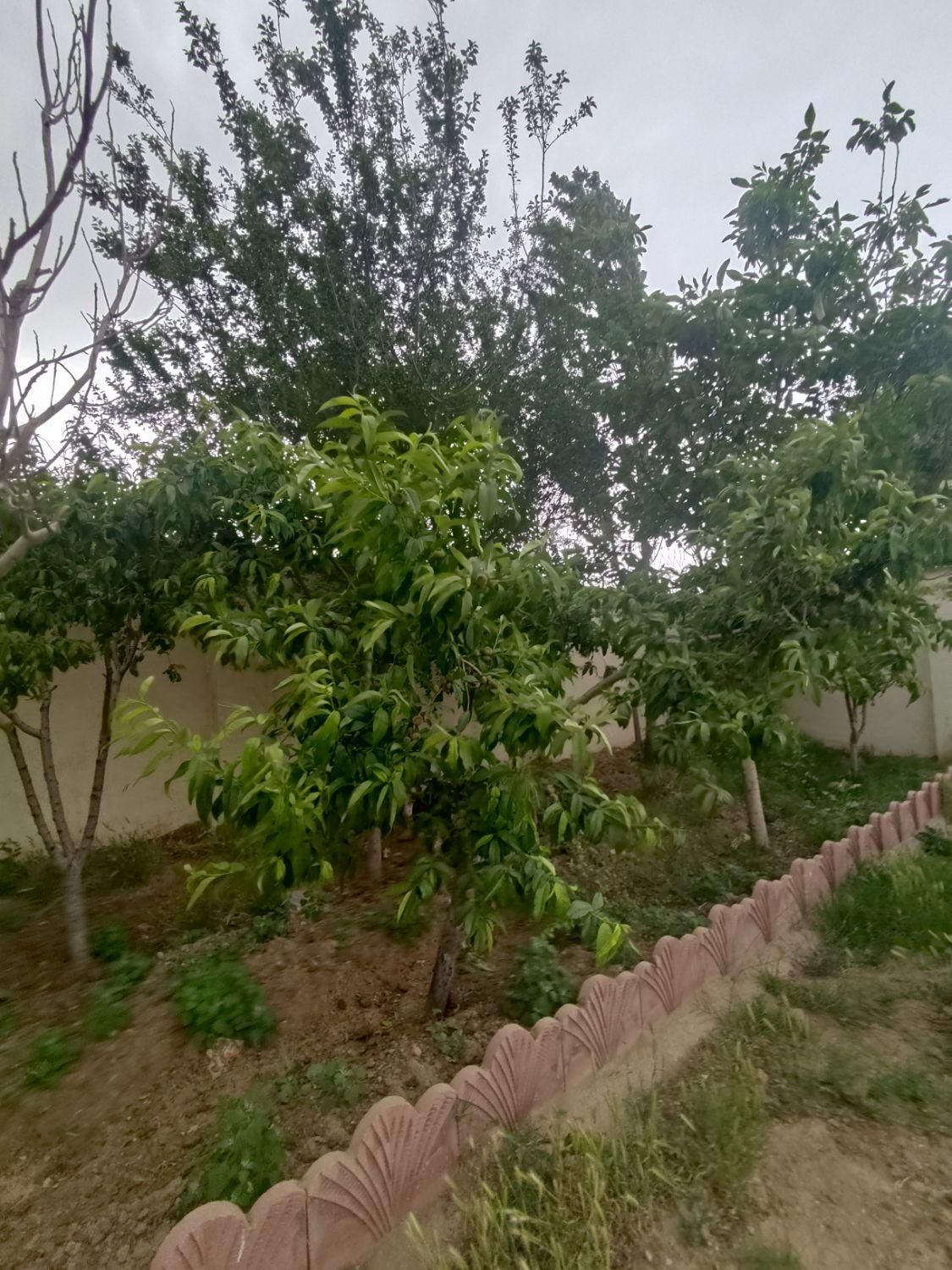 باغچه شهرکی/سندتکبرگ/آب برق گازکنتور/کردان سهیلیه|فروش زمین و ملک کلنگی|کرج, فاز ۲ مهرشهر|دیوار