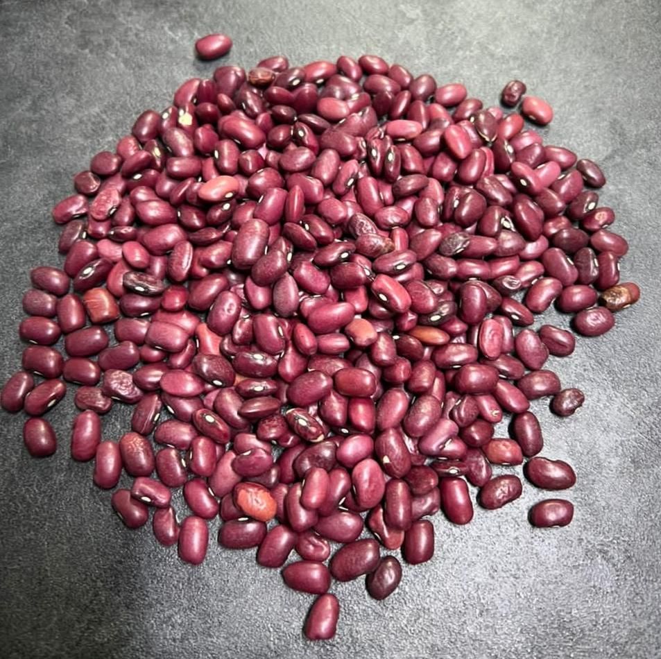 فروش انواع لوبیا قرمز - چیتی - چشم بلبلی - سفید|عمدهفروشی|ری, منصوریه منگل|دیوار