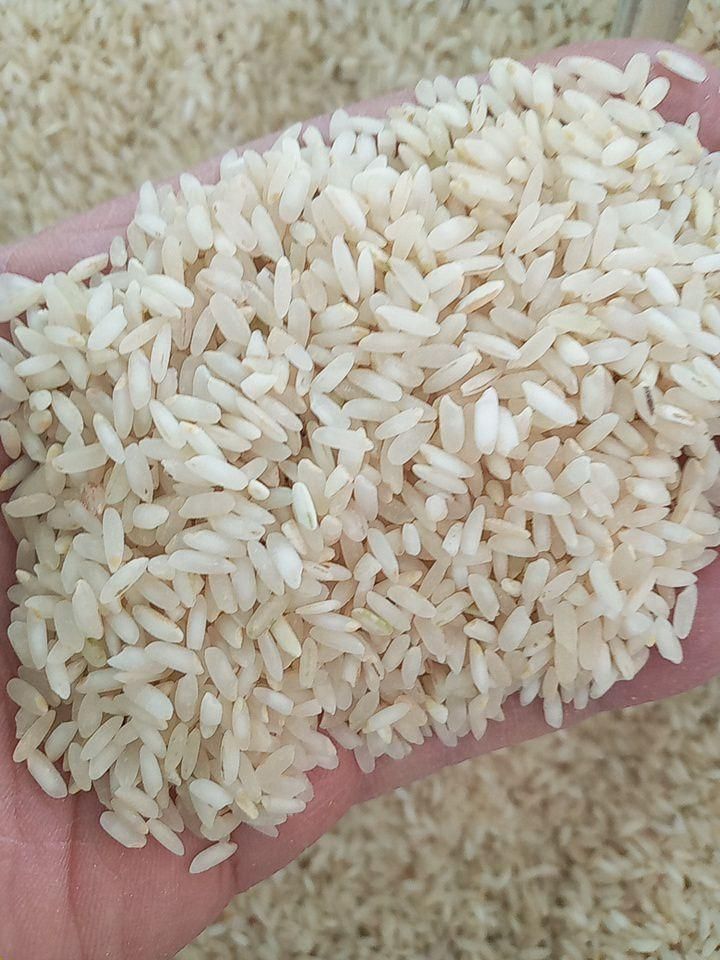 برنج لنجان|خوردنی و آشامیدنی|اصفهان, همدانیان|دیوار