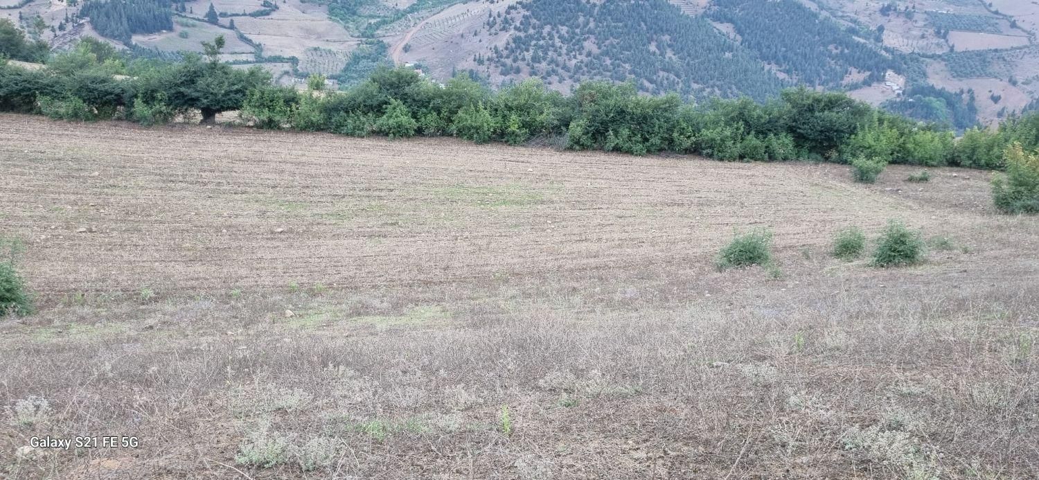 فروش زمین ۲هکتاری طالکوه گیلان ویژه مرغداری|فروش زمین و ملک کلنگی|برهسر, |دیوار