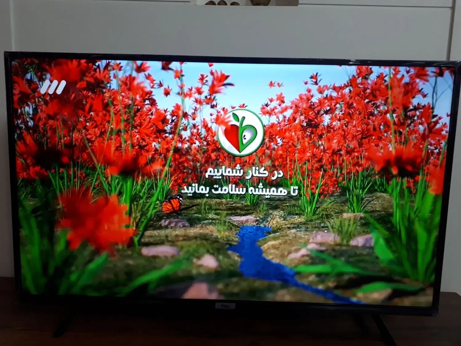 تلویزیون 43 اینچ TCL با اندرید ۱۱|تلویزیون و پروژکتور|مشهد, مشکینی (شهرک غرب)|دیوار