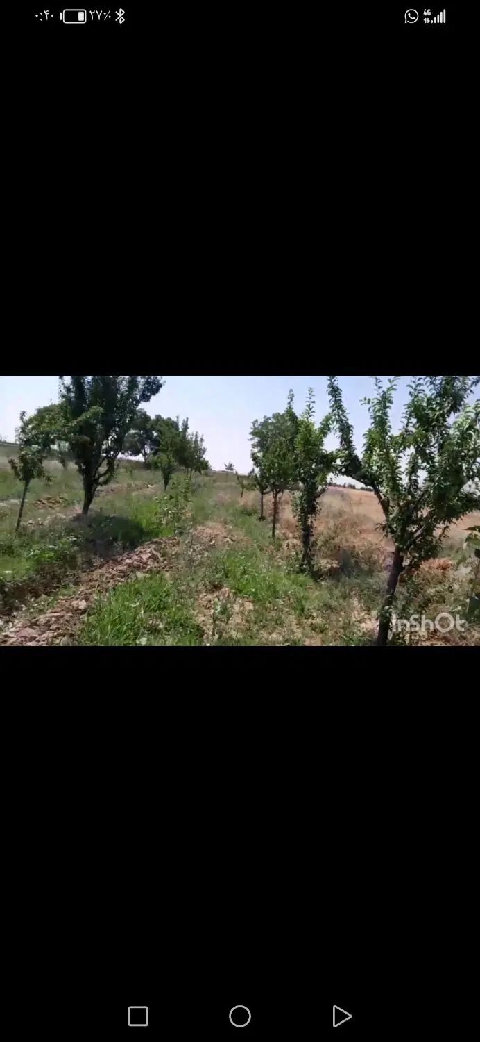 باغ در امرغان توس|فروش زمین و ملک کلنگی|مشهد, لقمانی|دیوار
