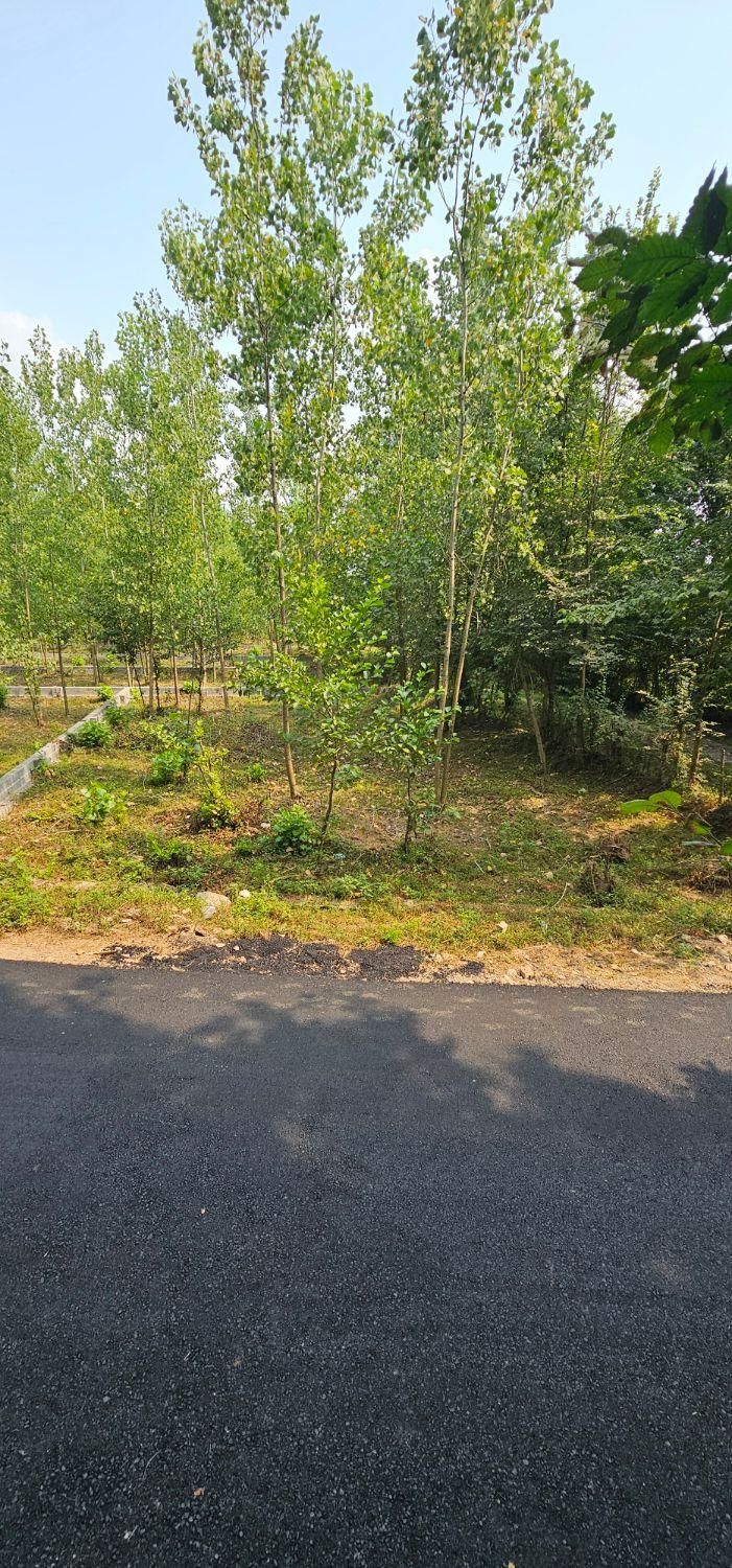 ۳۳۶ متر زمین تمام مسکونی ۲ بر|فروش زمین و ملک کلنگی|سیاهکل, |دیوار