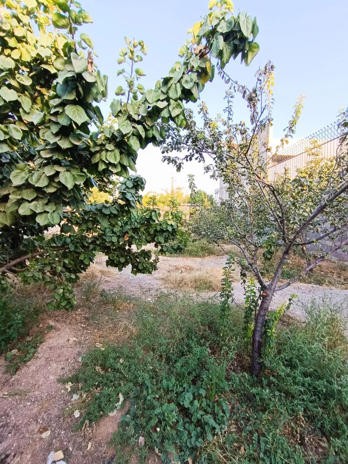 چهاردیواری 300 متری در منطقه توریستی کوشکزر کردان|فروش زمین و ملک کلنگی|هشتگرد, کوشک زر|دیوار