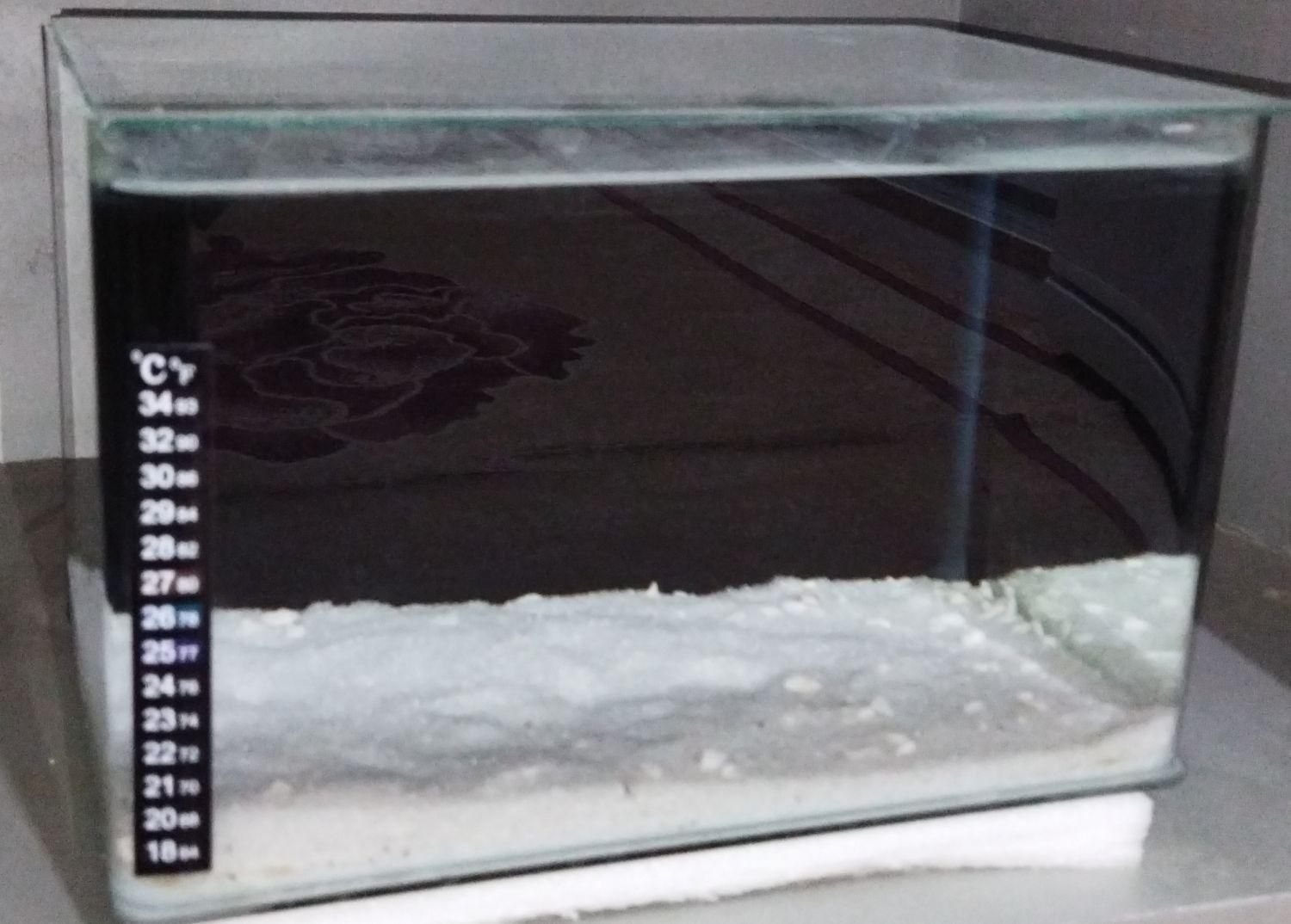 آکواریوم|ماهی|میانه, |دیوار