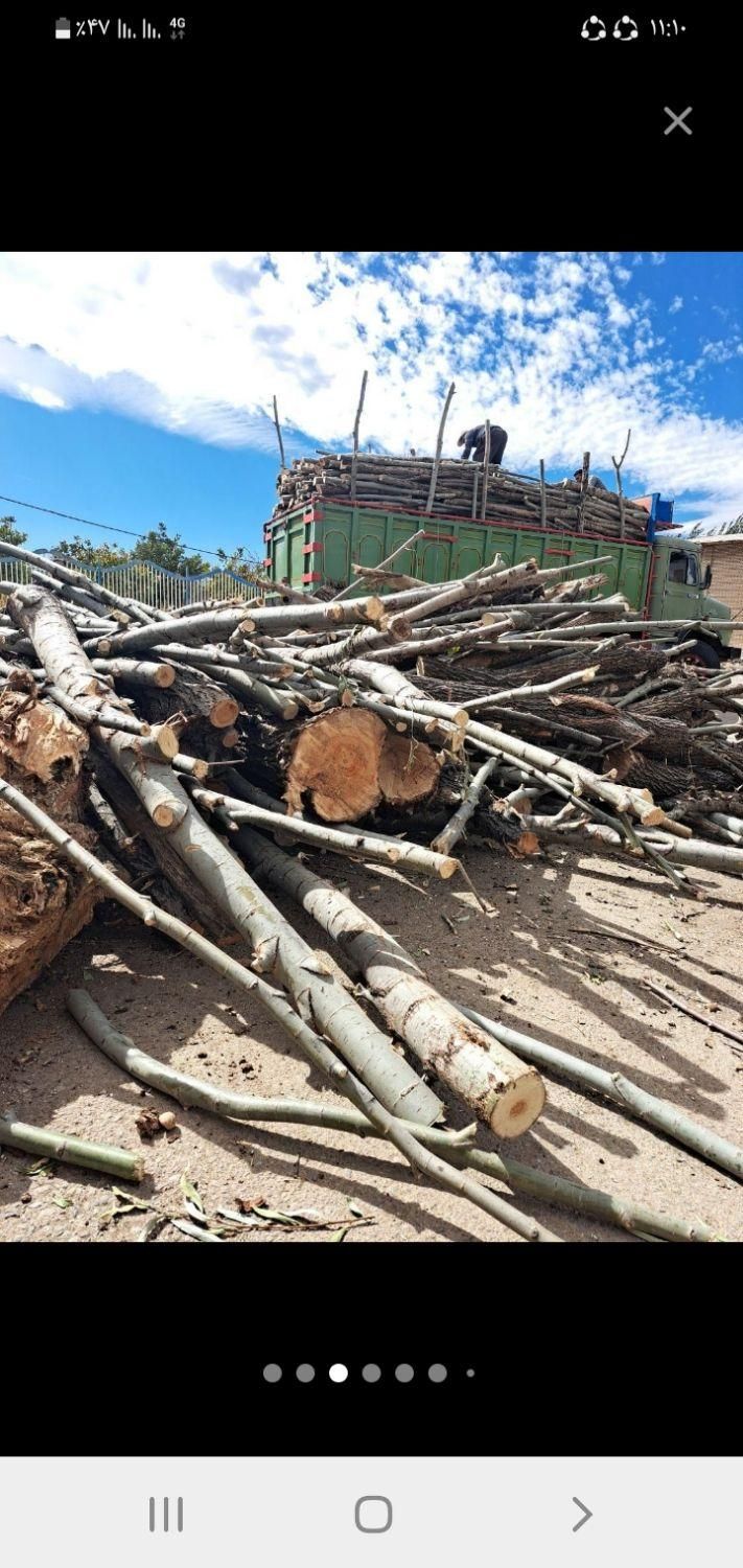 خرید چوب|خدمات باغبانی و درختکاری|خرمآباد, |دیوار