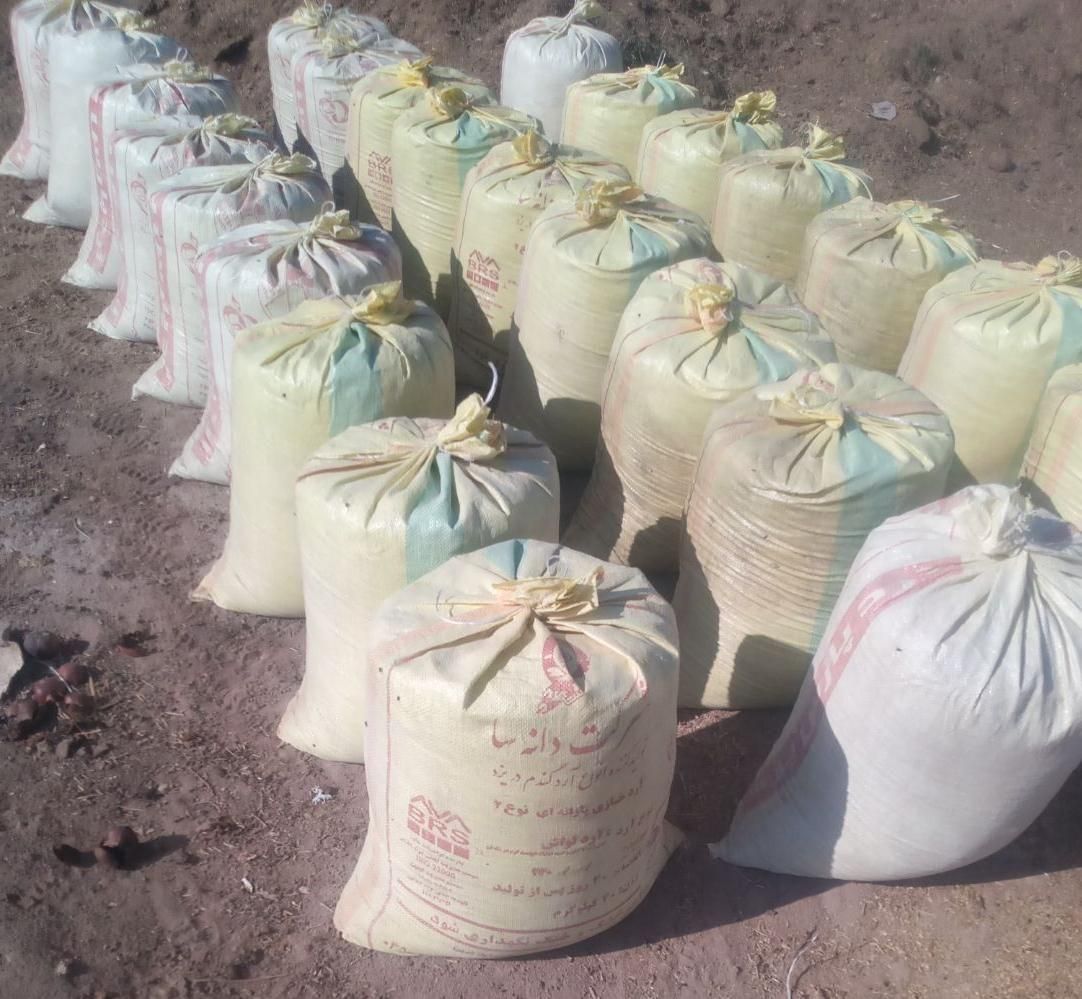 کود گوسفندی|خدمات باغبانی و درختکاری|همدان, |دیوار