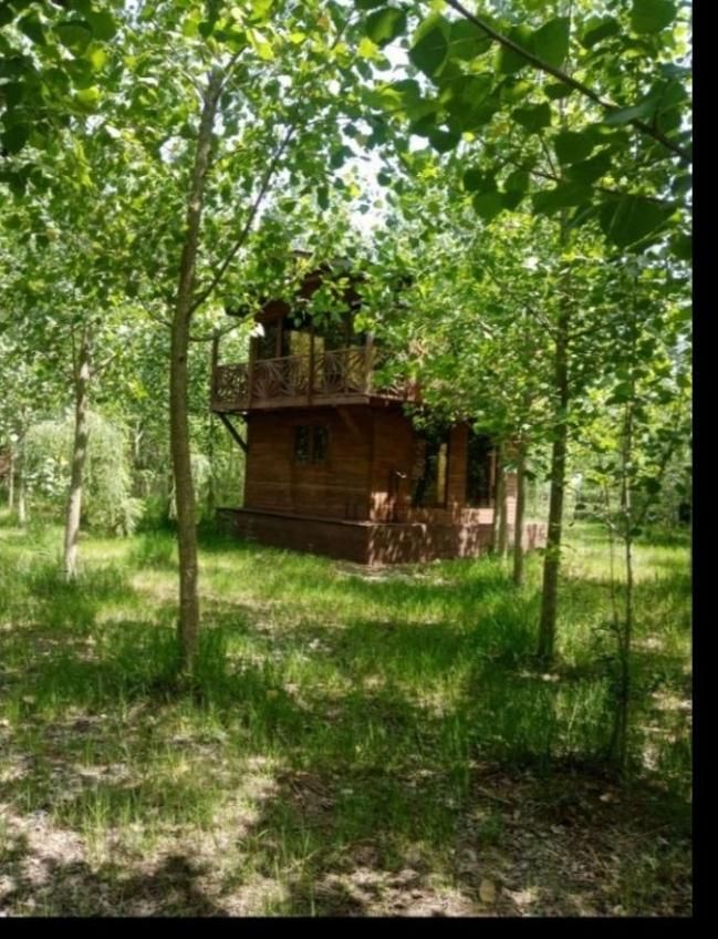 فروش ویلا سوئیسی/ باچشم اندازابدی|فروش خانه و ویلا|لواسان, |دیوار