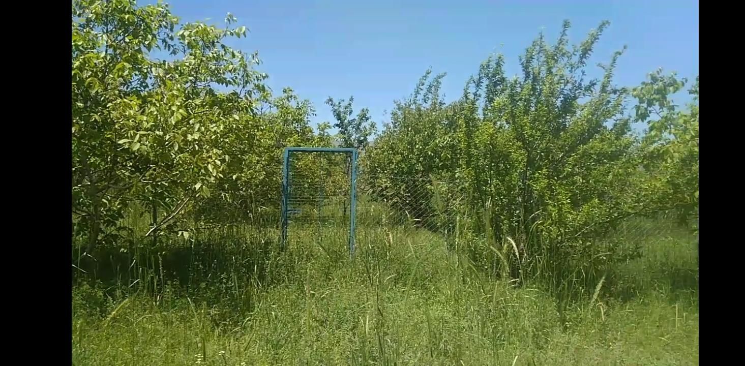 یک قطعه باغ 15 ساله روستای قلات رش|فروش خانه و ویلا|پیرانشهر, |دیوار