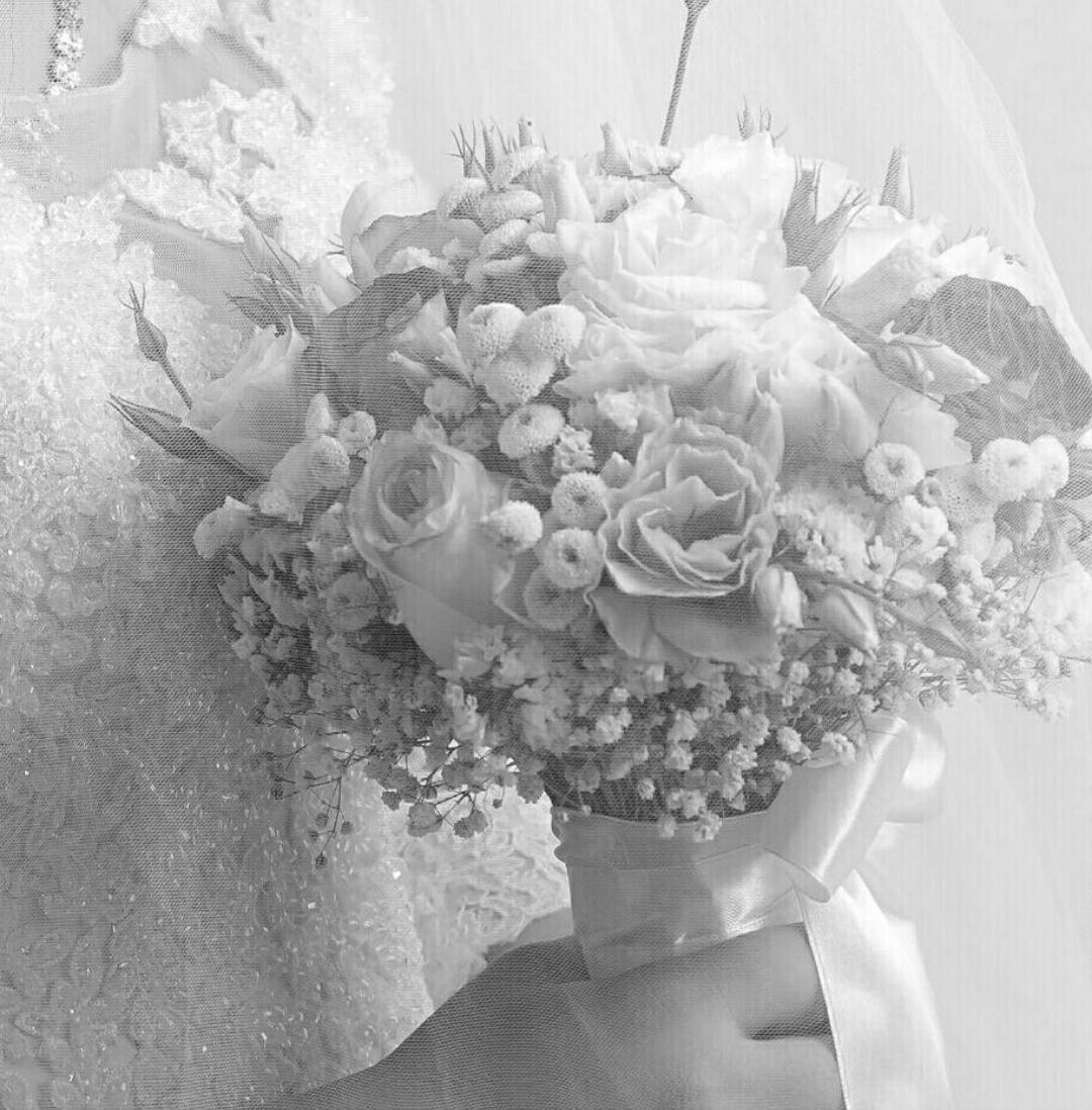 آتلیه فیلم و عکس عدالت|خدمات پذیرایی، مراسم|گرگان, |دیوار