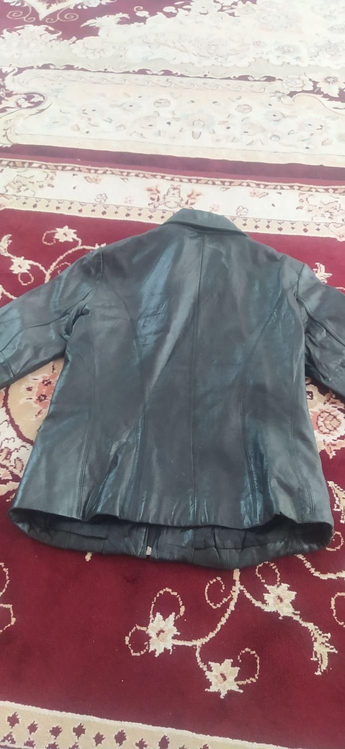 کت چرم طبیعی بزی|لباس|اصفهان, دارک|دیوار