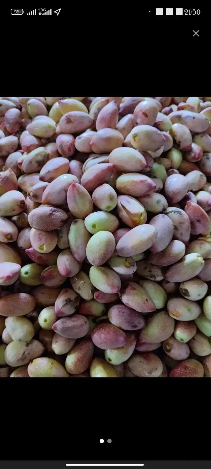 پسته خراسان|خوردنی و آشامیدنی|تهران, تهران پارس|دیوار