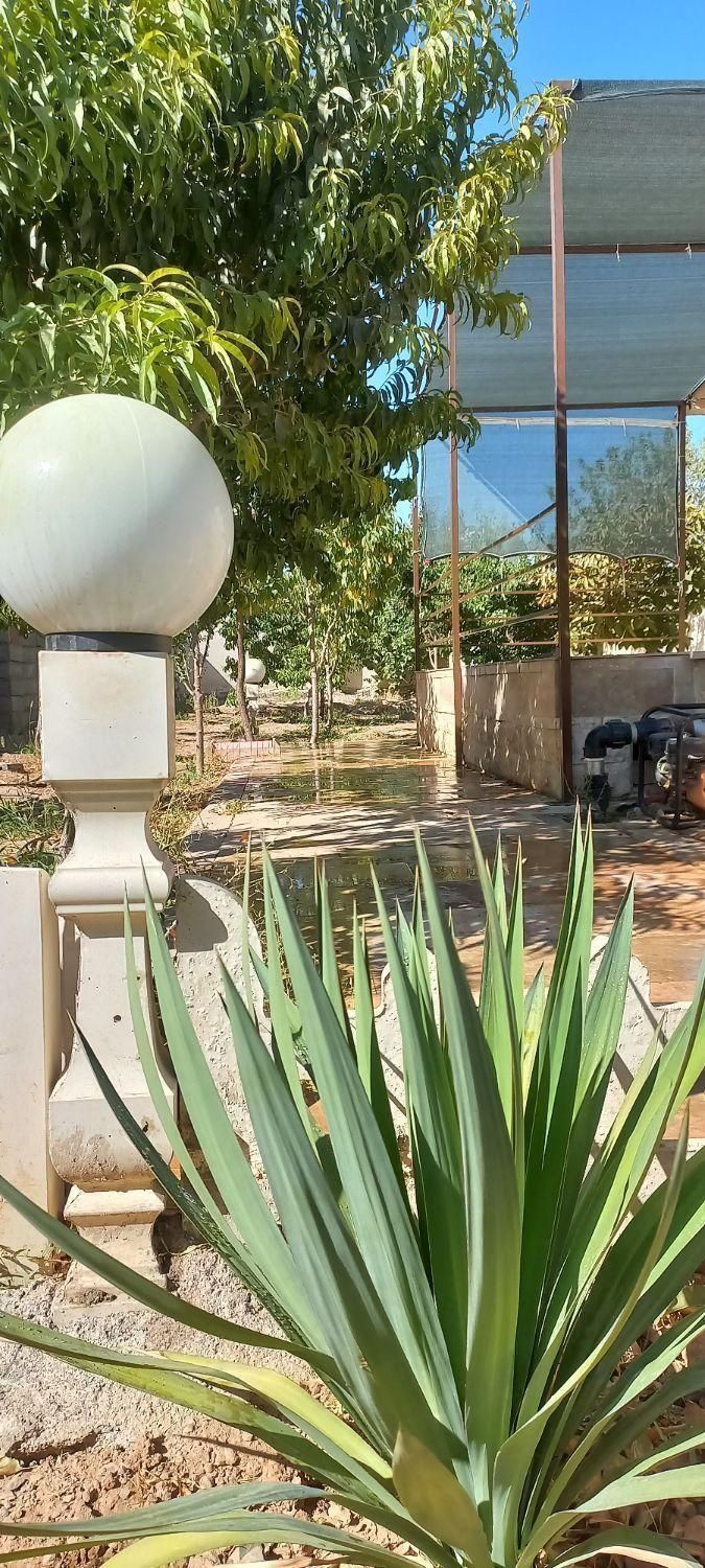 باغ در حسیناباد علویجه|فروش خانه و ویلا|شاهینشهر, فردوسی|دیوار