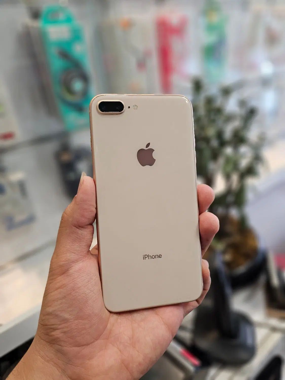 iphone 8 plus 256 اقساطی|موبایل|مشهد, دانشجو|دیوار