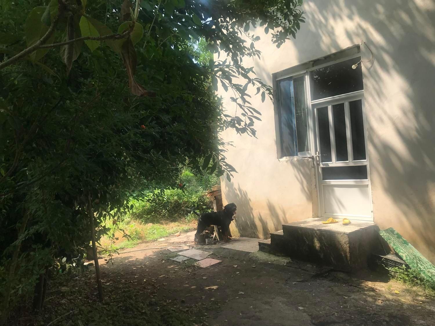 ویلا لنگرود دریاسر مبله فروش یا معاوضه با خودرو|فروش خانه و ویلا|لنگرود, |دیوار