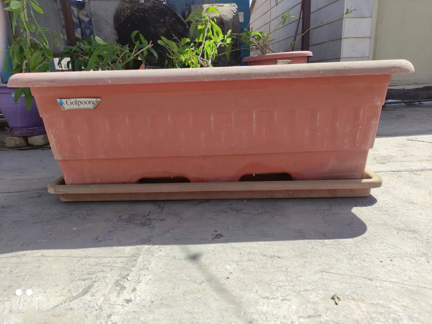 باکس کاشت، درحدنو، مارک گلپونه، درابعاد 1م در 40س|گل و گیاه طبیعی|تهران, حکیمیه|دیوار
