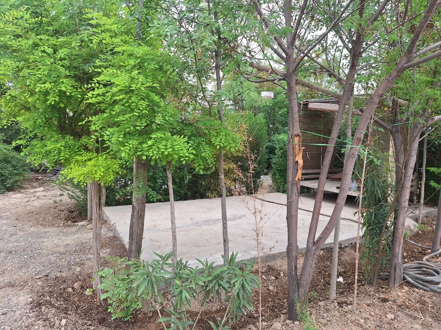 باغچه ۸۰۰ متری واقع در کهریزک، روستای سلمان آباد|فروش دفتر صنعتی، کشاورزی، تجاری|کهریزک, |دیوار