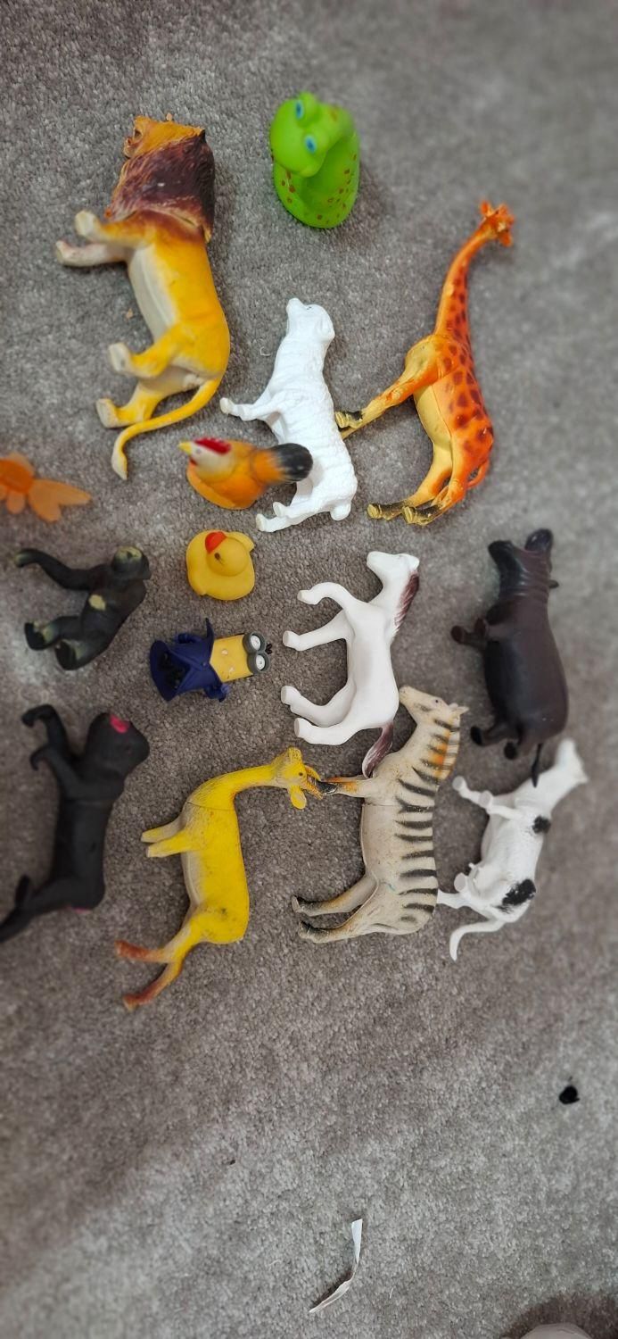 اسباب بازی|اسباب‌بازی بچه|گرگان, |دیوار