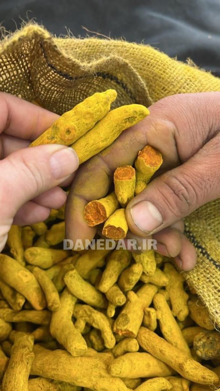 فروش عمده زردچوبه قلم هندی و انواع ادویه|خوردنی و آشامیدنی|تهران, منصوریه (پل سیمان)|دیوار