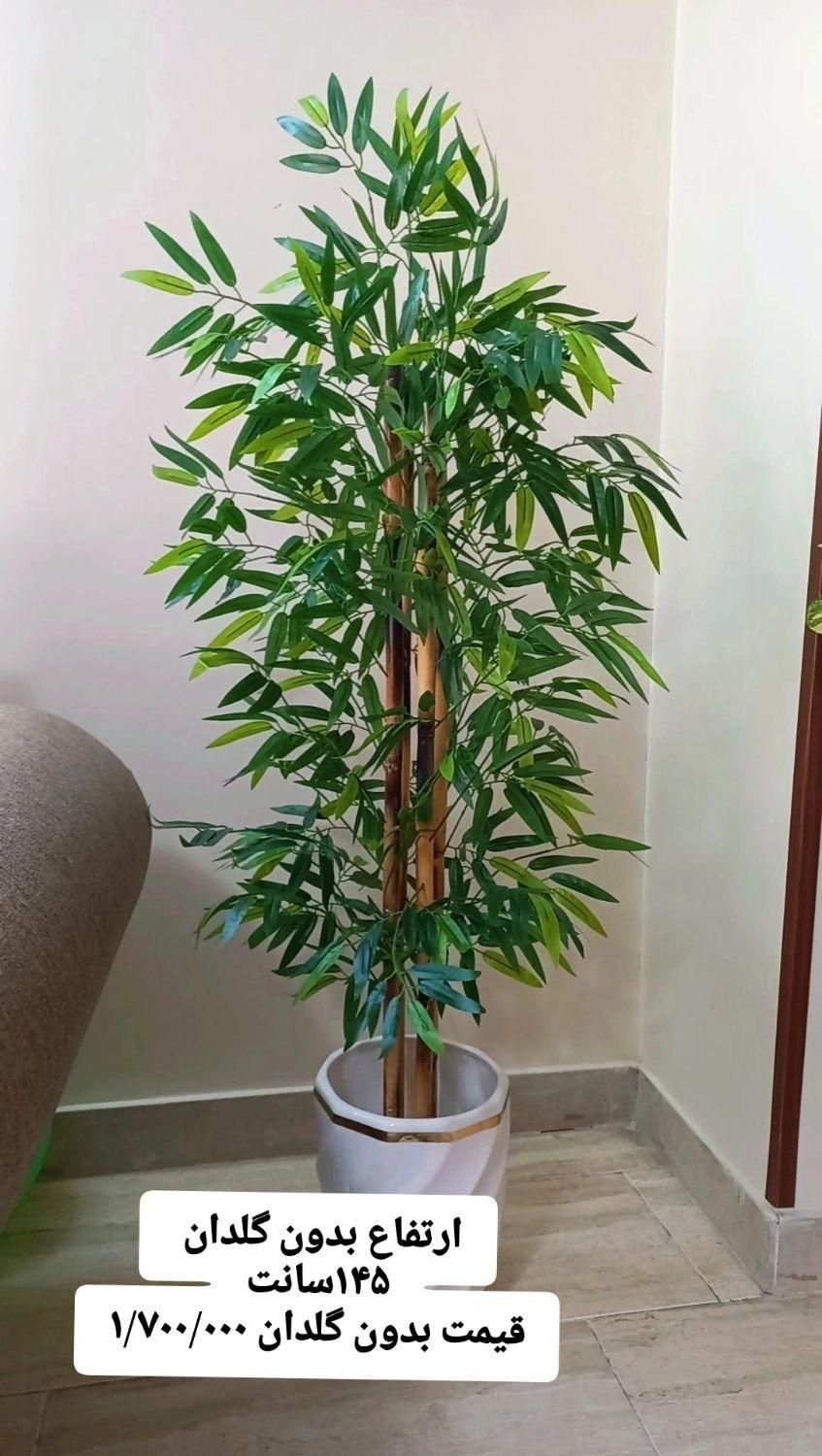 درختچه خیزران مصنوعی ۵۹۹۰۰۰ت|گل مصنوعی|کرج, مهرویلا جنوبی|دیوار