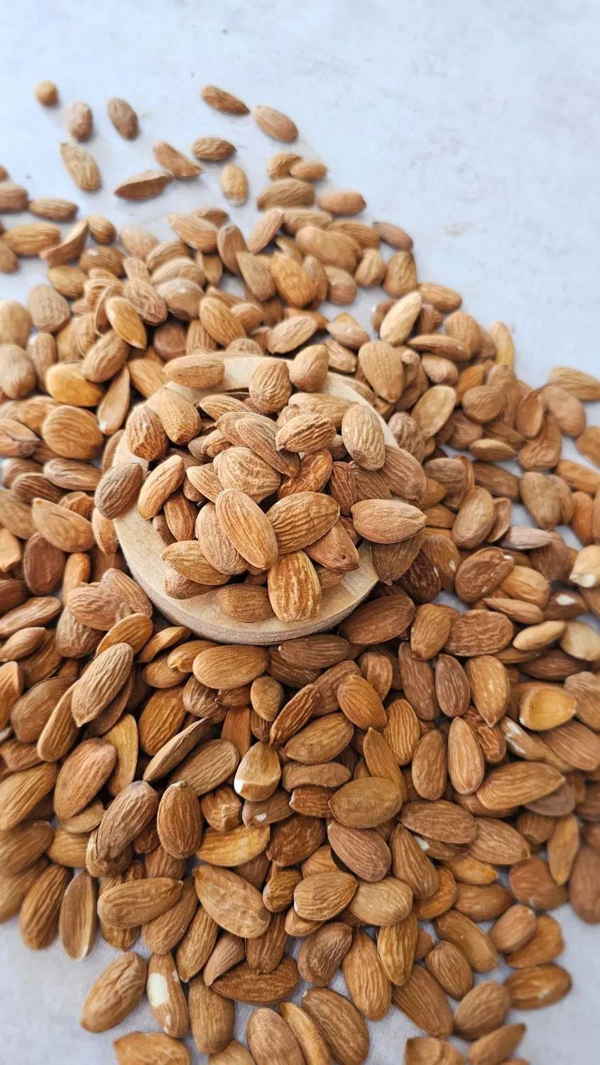 مغز بادام سنگی محلی سایز ۱۳۵ دانه به صورت عمده|خوردنی و آشامیدنی|تهران, شوش (باغ آذری)|دیوار