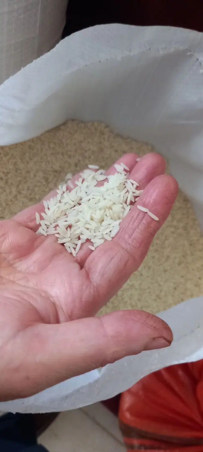 برنج هاشمی درجه یک با پخت عالی تازه بدون شکست|خوردنی و آشامیدنی|رشت, لاکان|دیوار