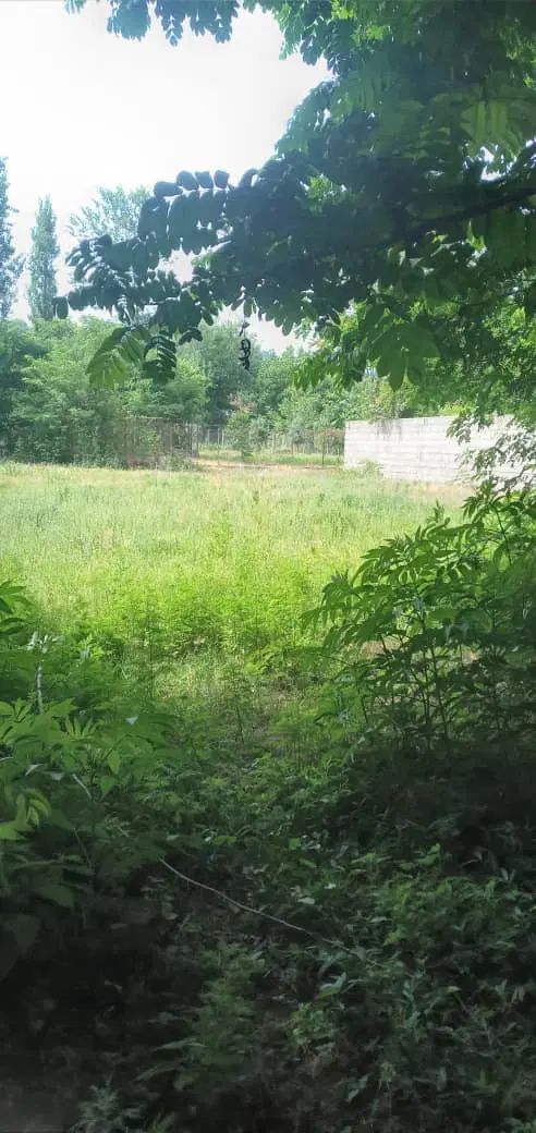 رشت زمین مسکونی فروش معاوضه تهاترسراوان قاضیان|فروش زمین و ملک کلنگی|سنگر, |دیوار
