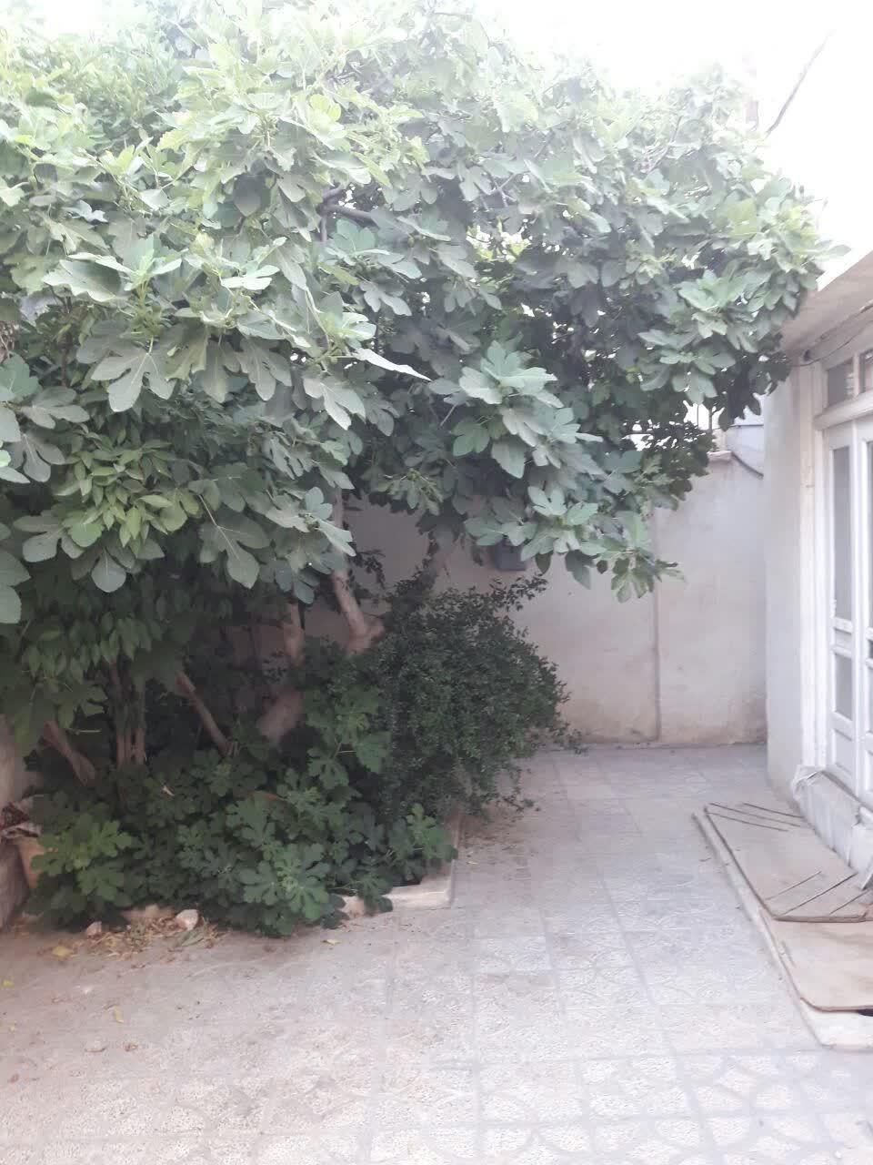 اجاره منزل ویلایی دربست در مولوی|اجارهٔ خانه و ویلا|اصفهان, شاهد|دیوار