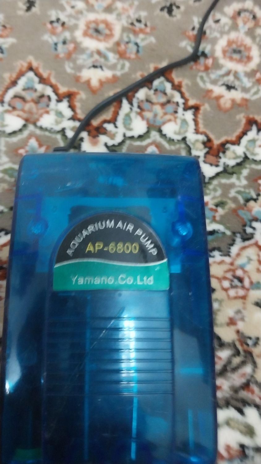 اکسیژن ساز|ماهی|تهران, اختیاریه|دیوار