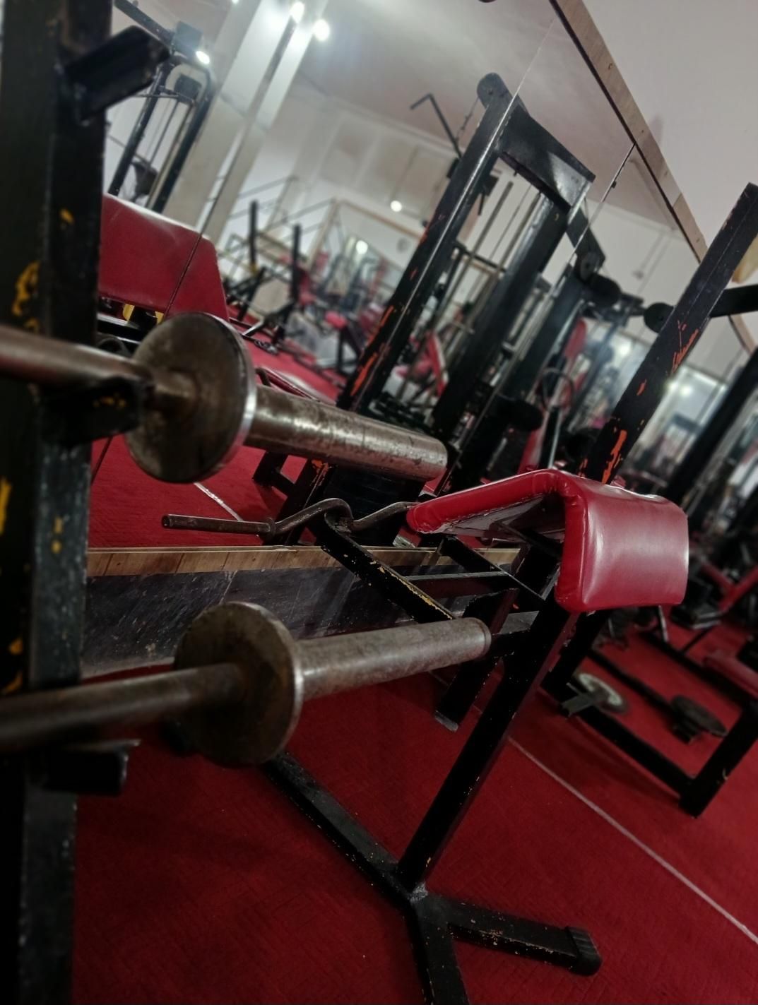 تجهیزات باشگاه بدنسازی بفروش میرسد|تجهیزات ورزشی|اردبیل, |دیوار