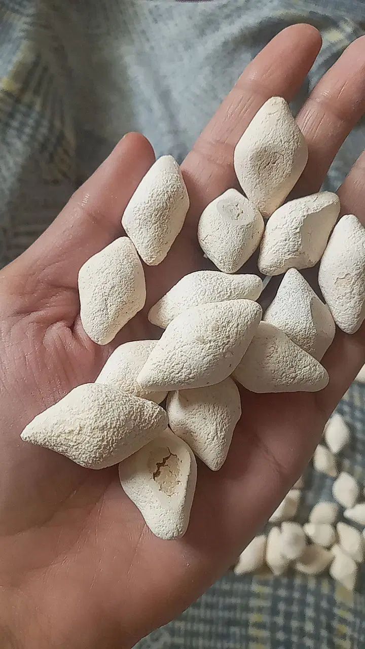 قوروت گوسفندی سفید درجه یک|خوردنی و آشامیدنی|مشهد, کشاورز|دیوار