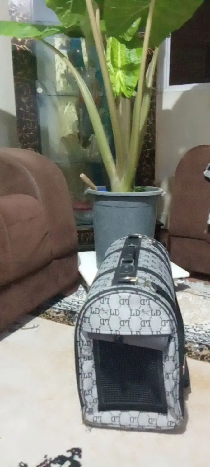 کیف حمل سگ و گربه|لوازم جانبی حیوانات|کرج, خرمدشت|دیوار