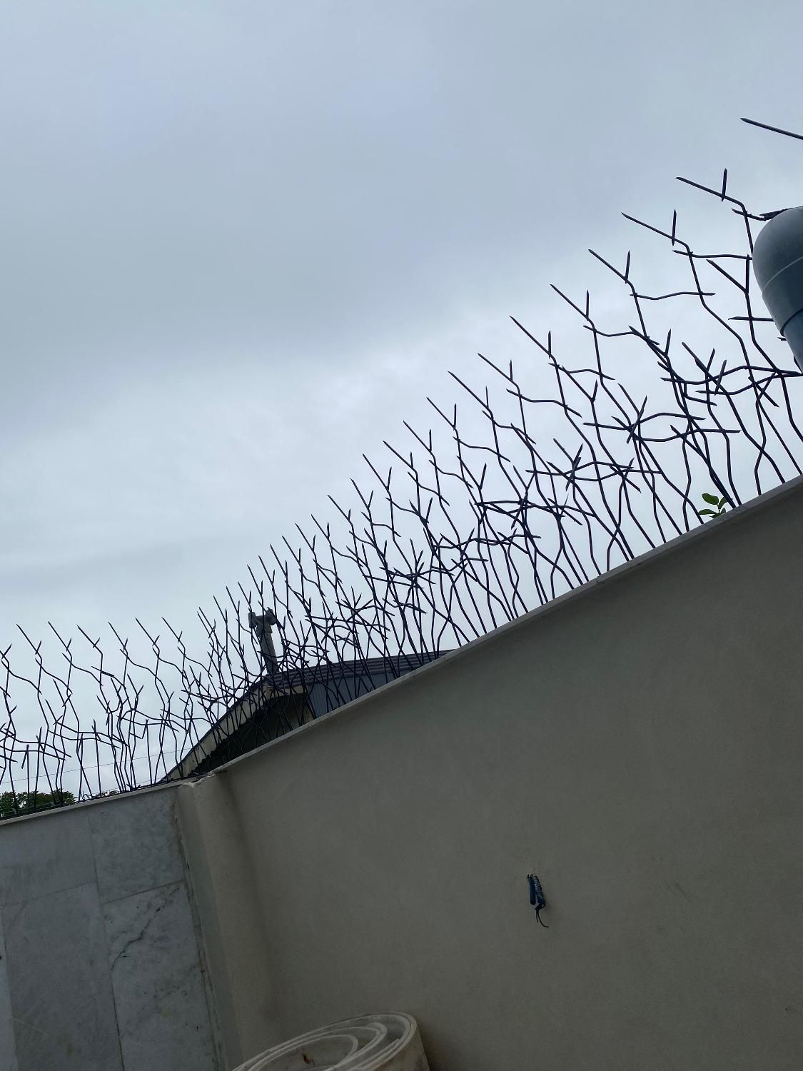 حفاظ شاخ گوزنی|مصالح و تجهیزات ساختمان|خمام, |دیوار