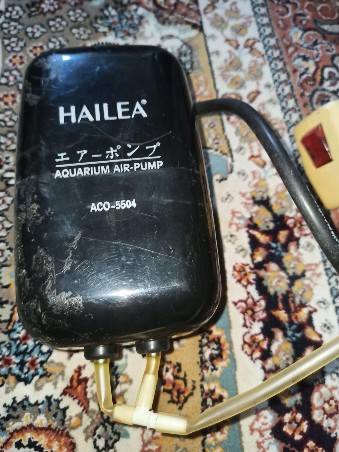 شیشه اکواریوم همراه با پمپ|ماهی|رشت, استقامت ۱|دیوار