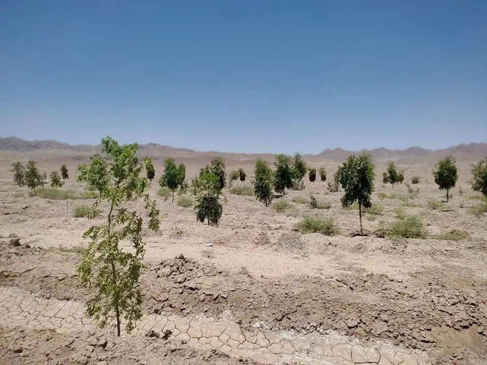 تصویر 2
