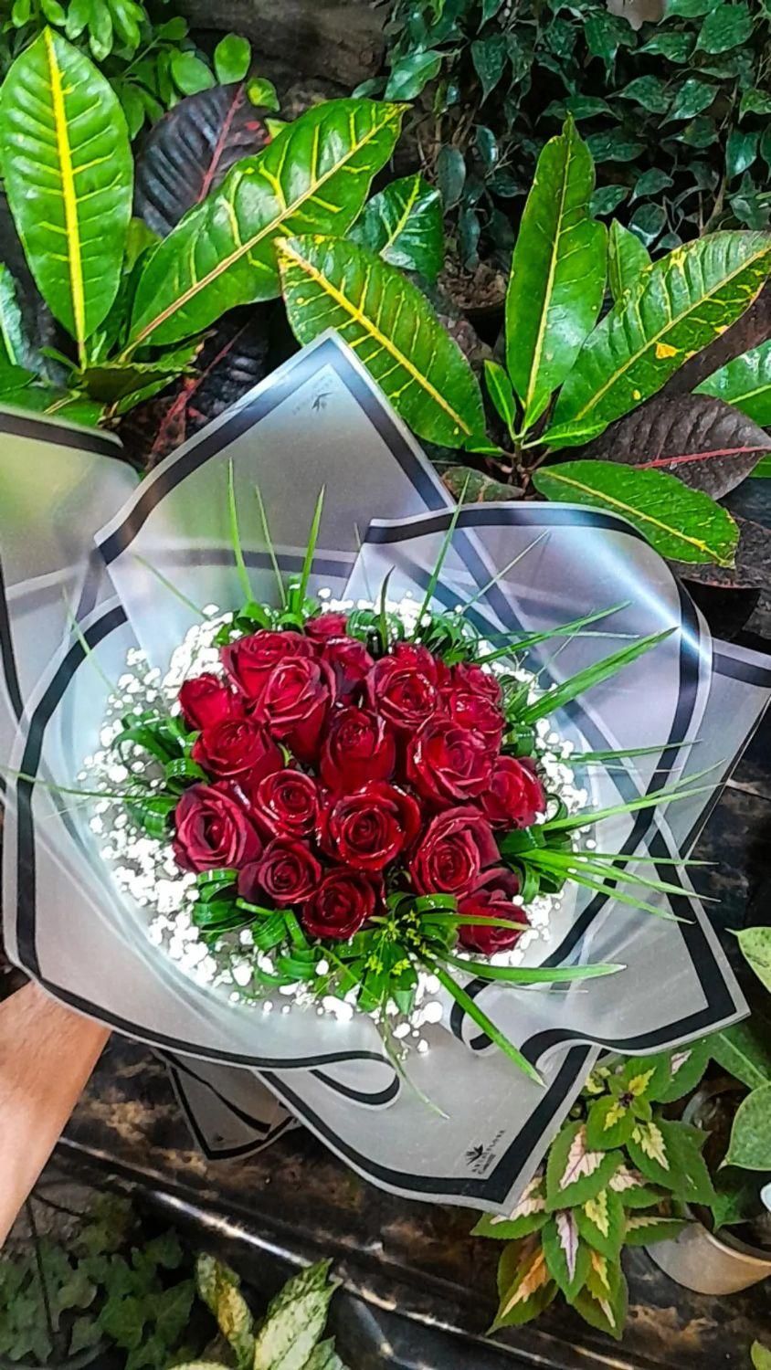 گل رز هلندی قرمز  دسته گل باکس گل فقط شاخه 20 ت|گل و گیاه طبیعی|مشهد, انصار|دیوار