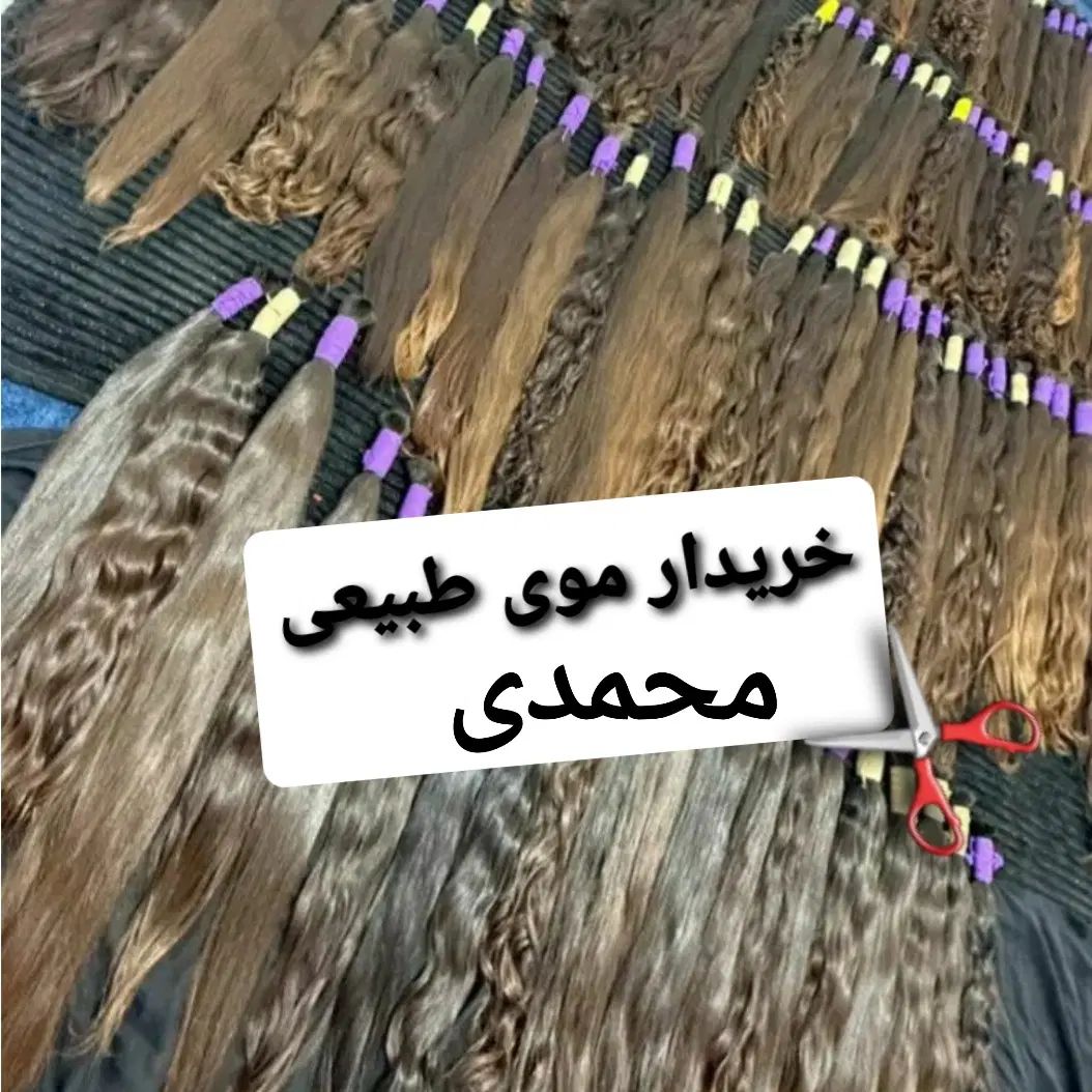 معتبرترین مرکز رسمی خریدوفروش مودرهمدان|آرایشی، بهداشتی، درمانی|همدان, |دیوار