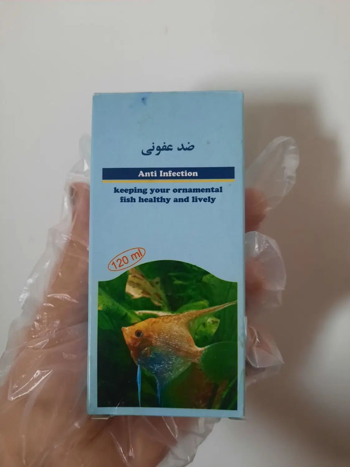 آکواریوم ماهی|ماهی|رشت, توشیبا|دیوار