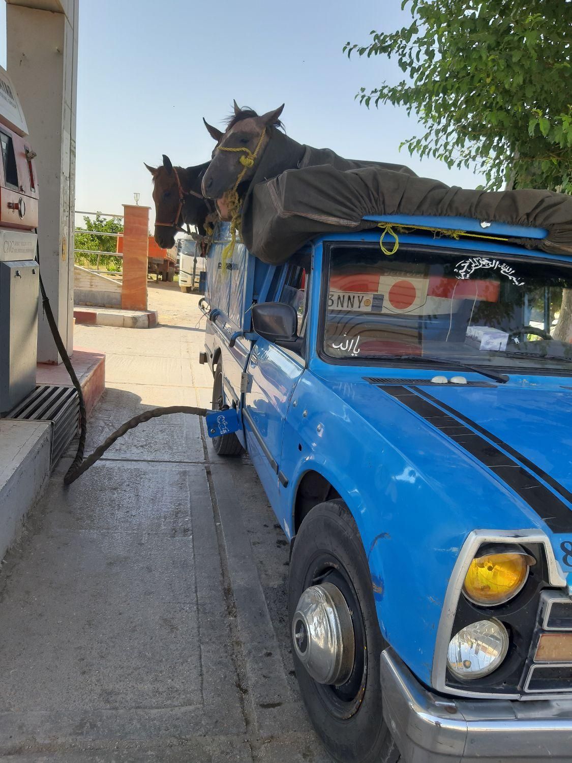 وانت تلفنی،نیسان تلفنی.وانت بار،نیسان بار، بار|خدمات حمل و نقل|سنندج, |دیوار